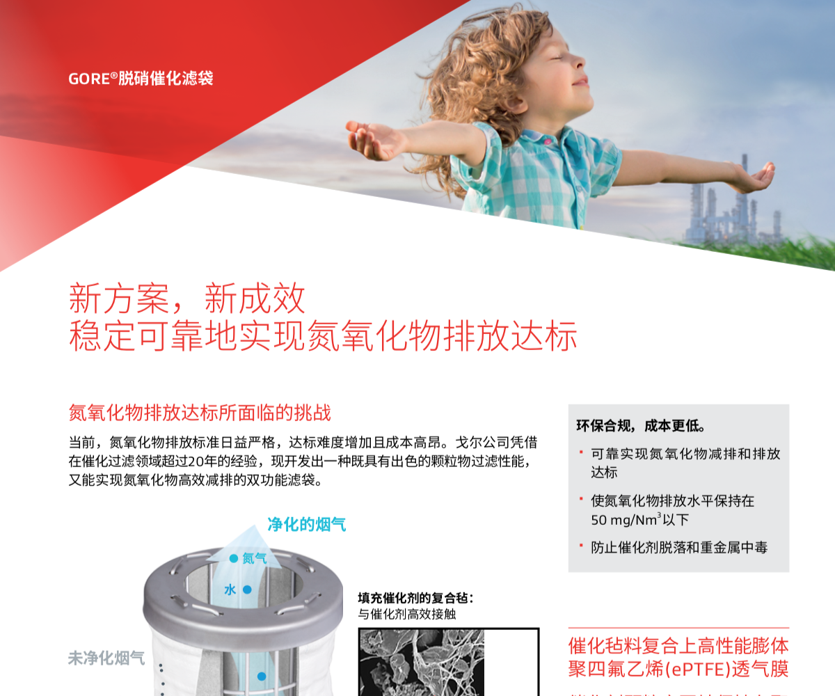 白皮書，穩(wěn)定可靠地實現(xiàn)氮氧化物排放達標